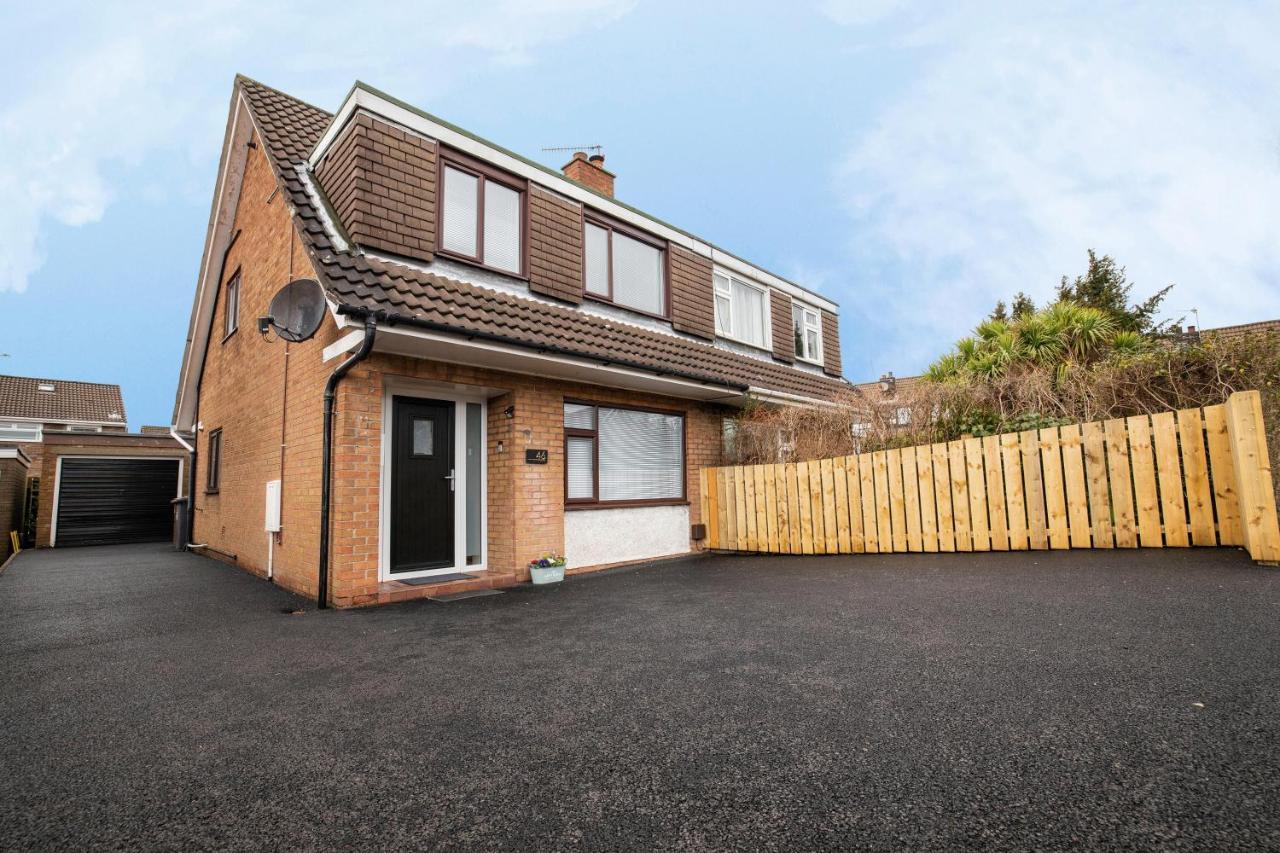 Elegant Home Mod Kitchen, Fast Wi-Fi, Free Parking Carrickfergus Extérieur photo